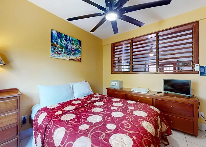 Black Orchid #22 At Caribe Island San Pedro (Ambergris Caye)