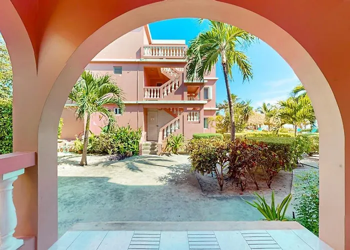 Black Orchid #22 At Caribe Island San Pedro (Ambergris Caye)
