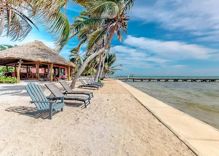 Black Orchid #22 At Caribe Island * San Pedro (Ambergris Caye)