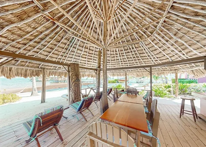 Black Orchid #22 At Caribe Island