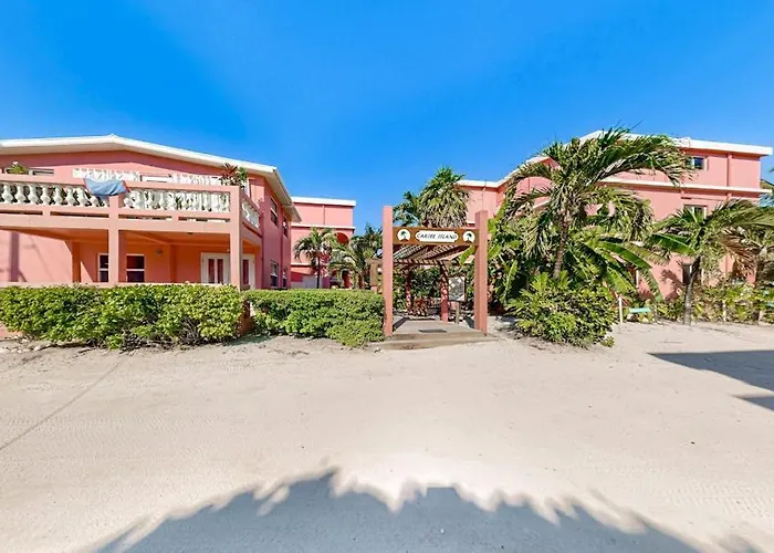 Black Orchid #22 At Caribe Island San Pedro (Ambergris Caye)