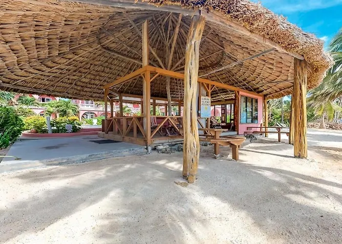 Black Orchid #22 At Caribe Island * San Pedro (Ambergris Caye)