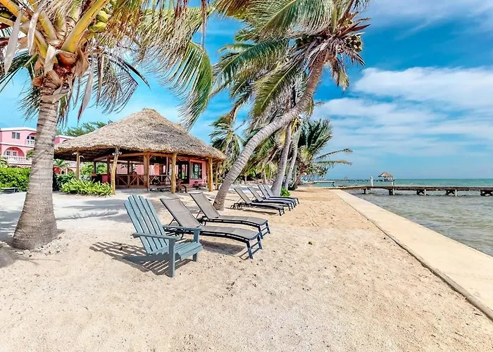 Black Orchid #22 At Caribe Island